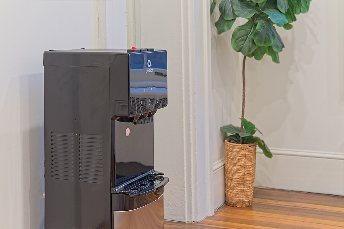 Filtered water cooler beside a fiddle-leaf fig plant on hardwood floors