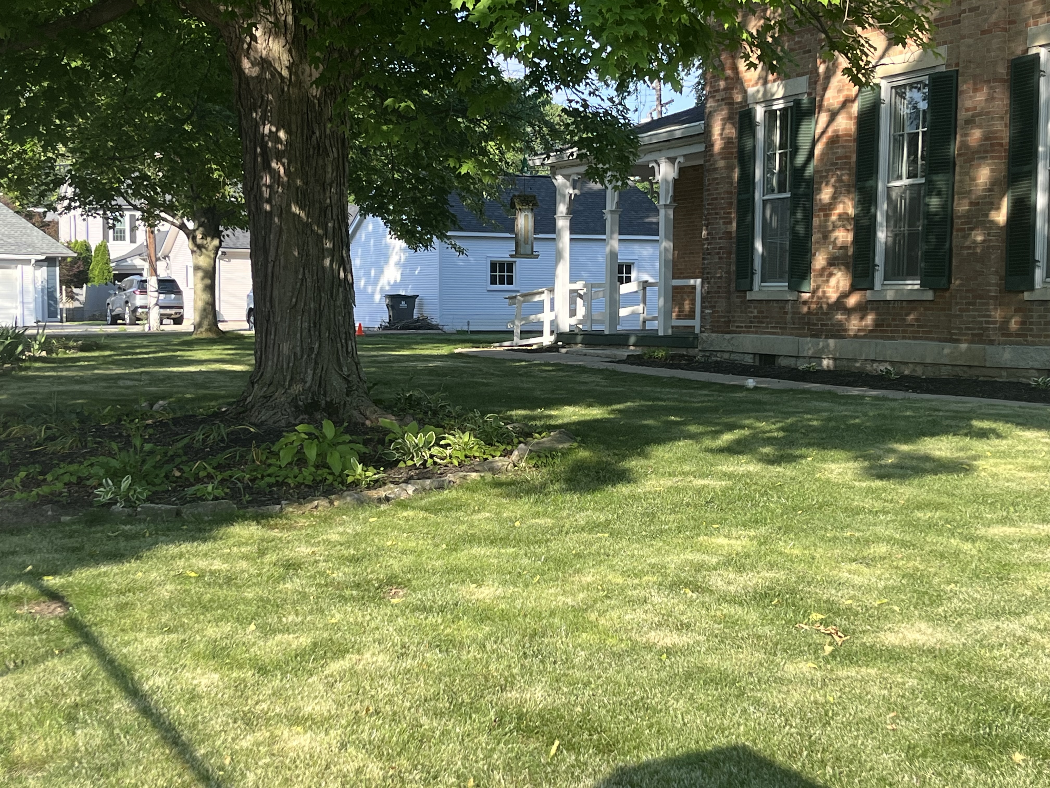 Private side yard with mature shade tree and green lawn